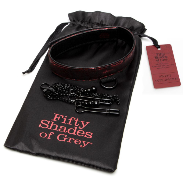 FSOG_Sweet Anticipation_COLLAR WITH NIPPLE CLAMPS_productimage_030_result